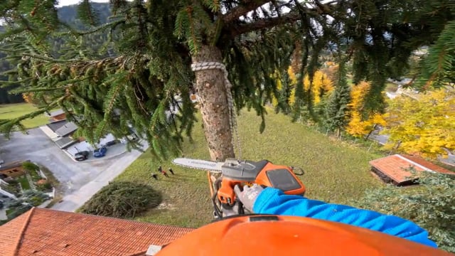 Baumexpert.at sägt den Wipfel einer Fichte in gut 20m Höhe und lässt die Baumspitze in eine Seilbahn fallen, sodass Gebäude nicht beschädigt werden
